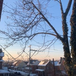 Meet your Posher, Isabel